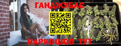 гашик Славгород