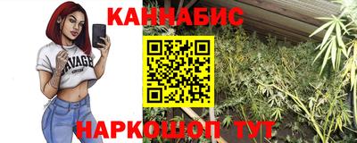 гашик Славгород