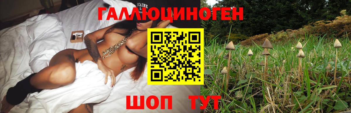 Каннабис  МЕТАМФЕТАМИН  Бошки Шишки  ГАШИШ  Мефедрон кристаллы  Купить наркотик  Вход с VPN  Новоалтайск  COCAIN  ГАШ 
