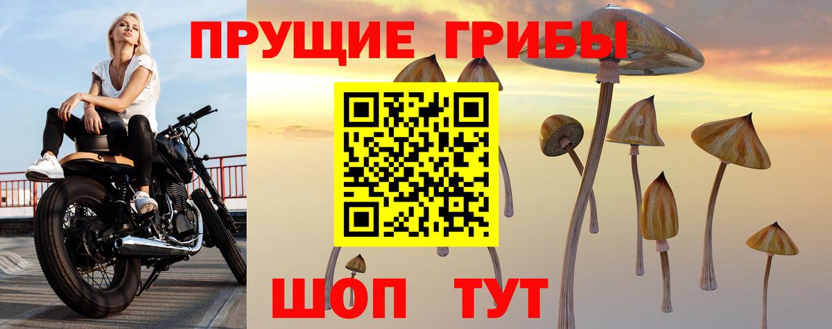 Псилоцибиновые грибы мицелий  Псилоцибиновые грибы мицелий  Новоалтайск  Вход с VPN 